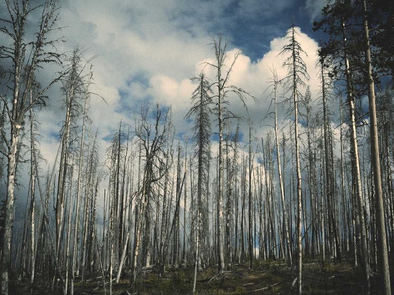 苹果ID更改地区<br>国家/区域一键切换教程